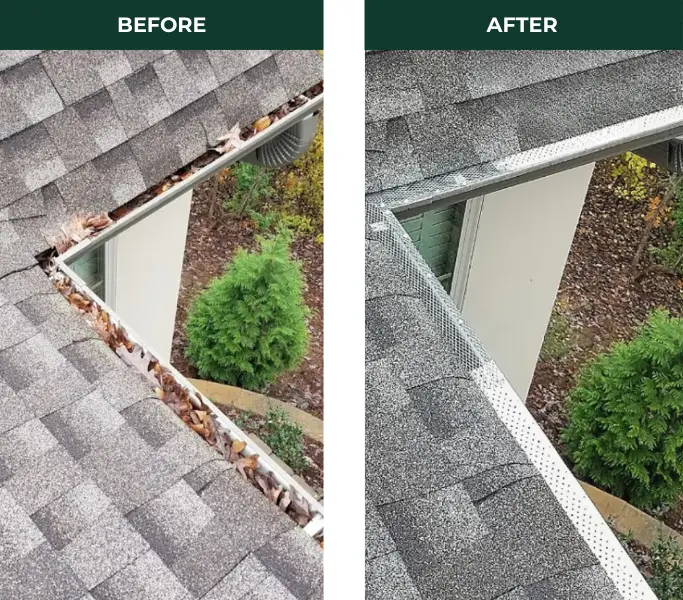 gutter cleaning
